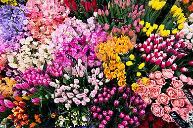 《星之海洋2》重制版将于11＆2登陆各大平台